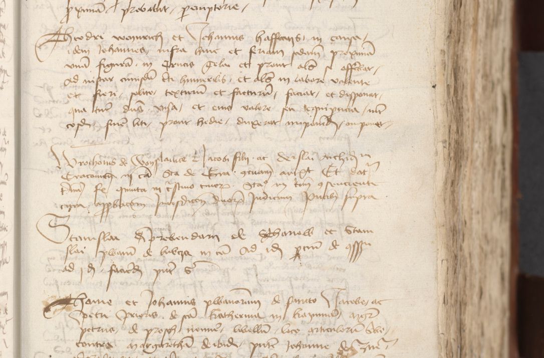 Zdjęcie nr 181 dla obiektu archiwalnego: [Acta actorum officialia coram Raphaele de Scawina]