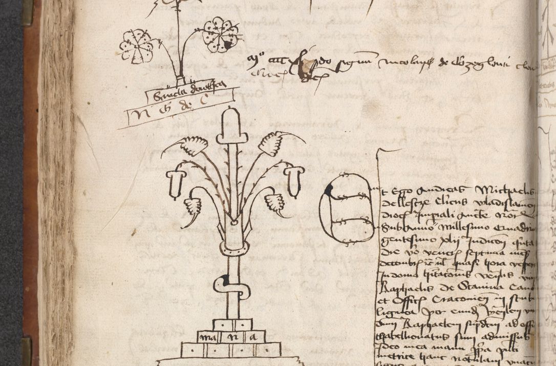 Zdjęcie nr 172 dla obiektu archiwalnego: [Acta actorum officialia coram Raphaele de Scawina]