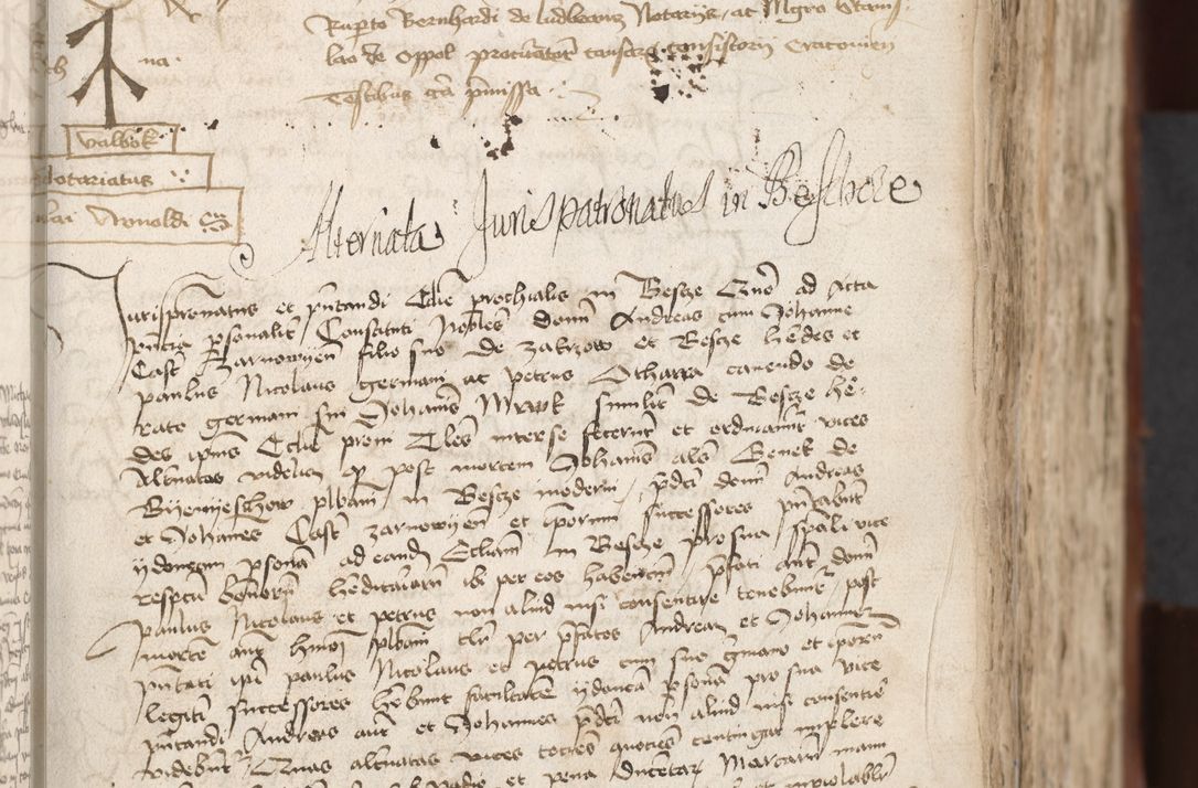 Zdjęcie nr 171 dla obiektu archiwalnego: [Acta actorum officialia coram Raphaele de Scawina]