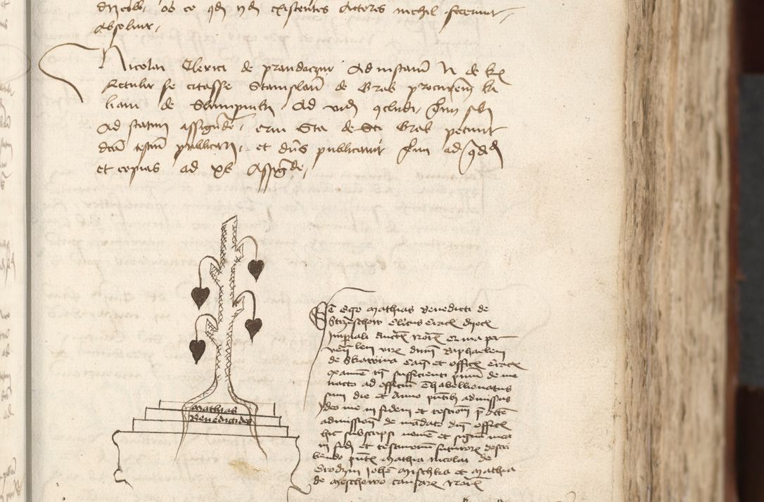 Zdjęcie nr 153 dla obiektu archiwalnego: [Acta actorum officialia coram Raphaele de Scawina]