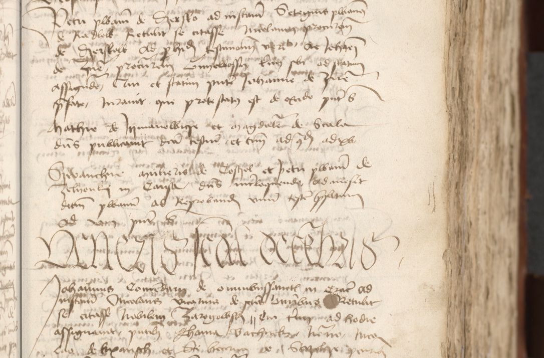 Zdjęcie nr 133 dla obiektu archiwalnego: [Acta actorum officialia coram Raphaele de Scawina]