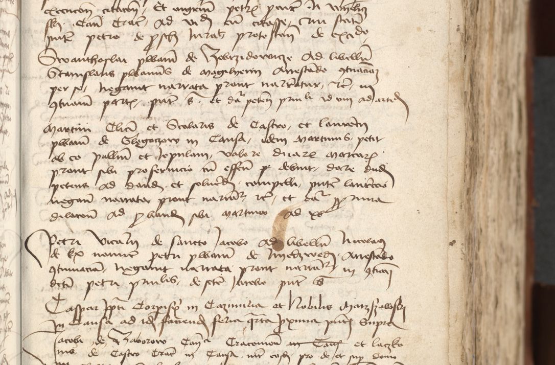 Zdjęcie nr 95 dla obiektu archiwalnego: [Acta actorum officialia coram Raphaele de Scawina]