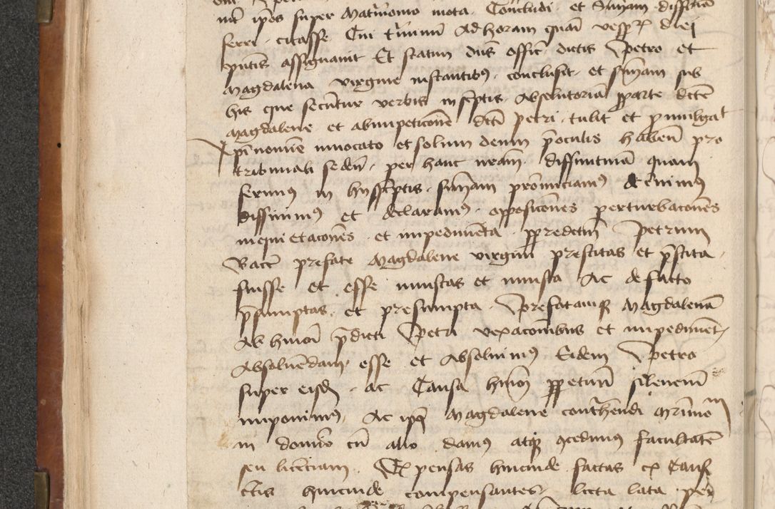 Zdjęcie nr 76 dla obiektu archiwalnego: [Acta actorum officialia coram Raphaele de Scawina]