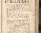 Zdjęcie nr 19 dla obiektu archiwalnego: [Acta actorum officialia coram Raphaele de Scawina]