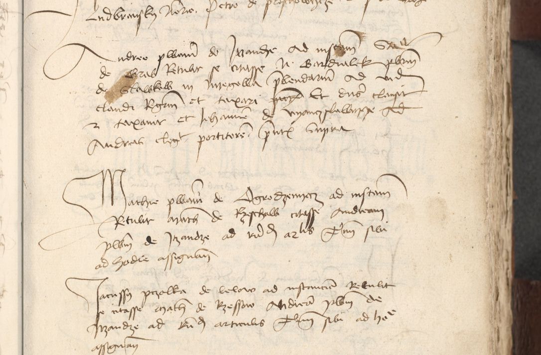 Zdjęcie nr 601 dla obiektu archiwalnego: [Acta actorum officialia coram Raphaele de Scawina]