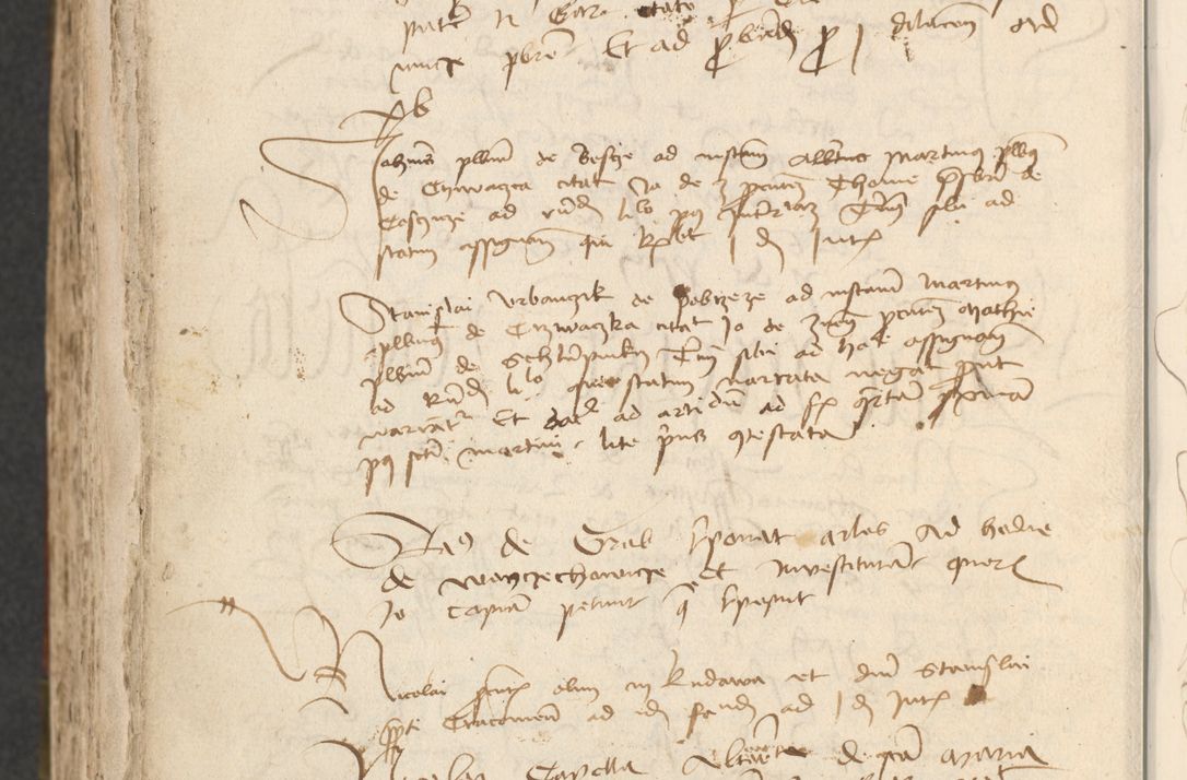 Zdjęcie nr 574 dla obiektu archiwalnego: [Acta actorum officialia coram Raphaele de Scawina]