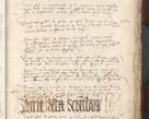 Zdjęcie nr 541 dla obiektu archiwalnego: [Acta actorum officialia coram Raphaele de Scawina]