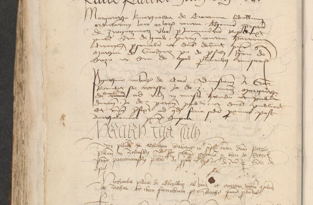 Zdjęcie nr 532 dla obiektu archiwalnego: [Acta actorum officialia coram Raphaele de Scawina]