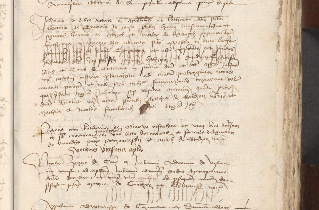 Zdjęcie nr 505 dla obiektu archiwalnego: [Acta actorum officialia coram Raphaele de Scawina]