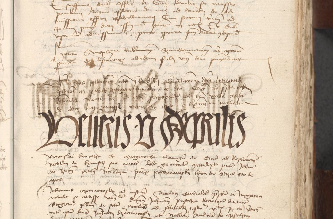 Zdjęcie nr 499 dla obiektu archiwalnego: [Acta actorum officialia coram Raphaele de Scawina]