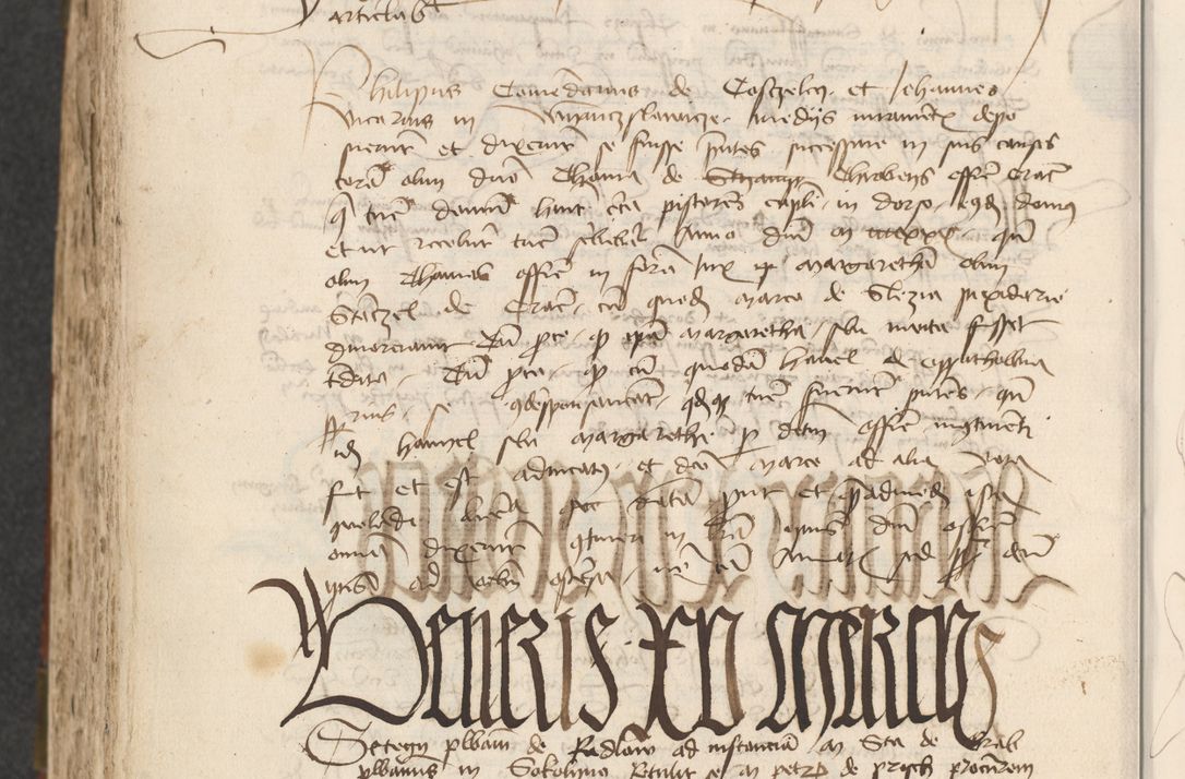 Zdjęcie nr 488 dla obiektu archiwalnego: [Acta actorum officialia coram Raphaele de Scawina]