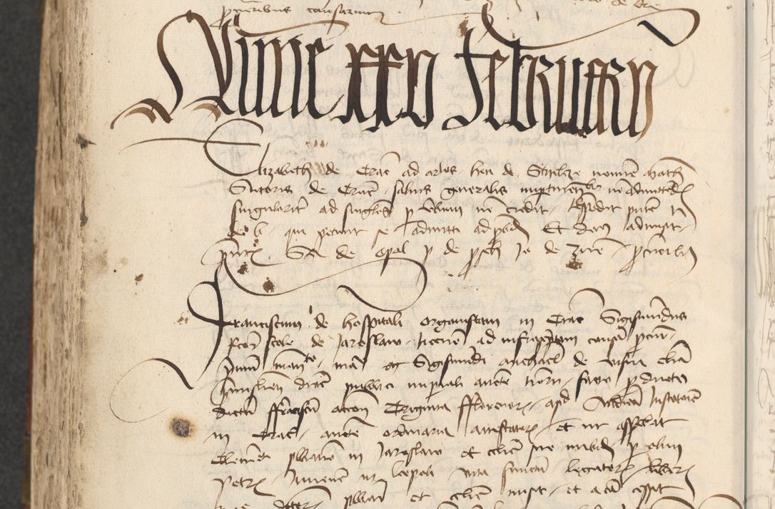 Zdjęcie nr 482 dla obiektu archiwalnego: [Acta actorum officialia coram Raphaele de Scawina]