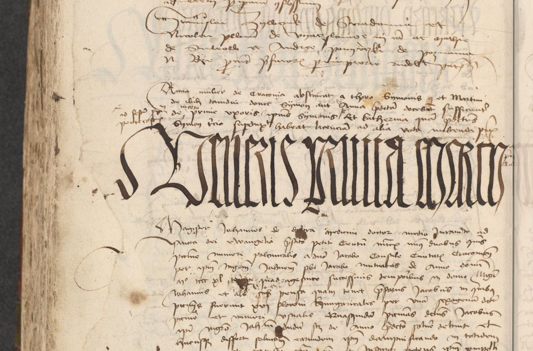 Zdjęcie nr 484 dla obiektu archiwalnego: [Acta actorum officialia coram Raphaele de Scawina]