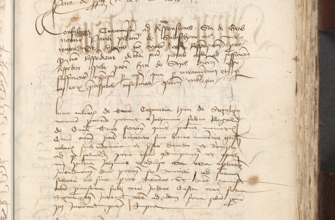 Zdjęcie nr 479 dla obiektu archiwalnego: [Acta actorum officialia coram Raphaele de Scawina]