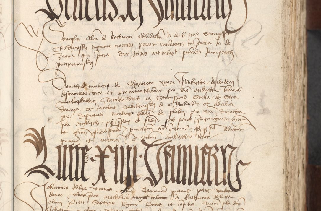 Zdjęcie nr 461 dla obiektu archiwalnego: [Acta actorum officialia coram Raphaele de Scawina]