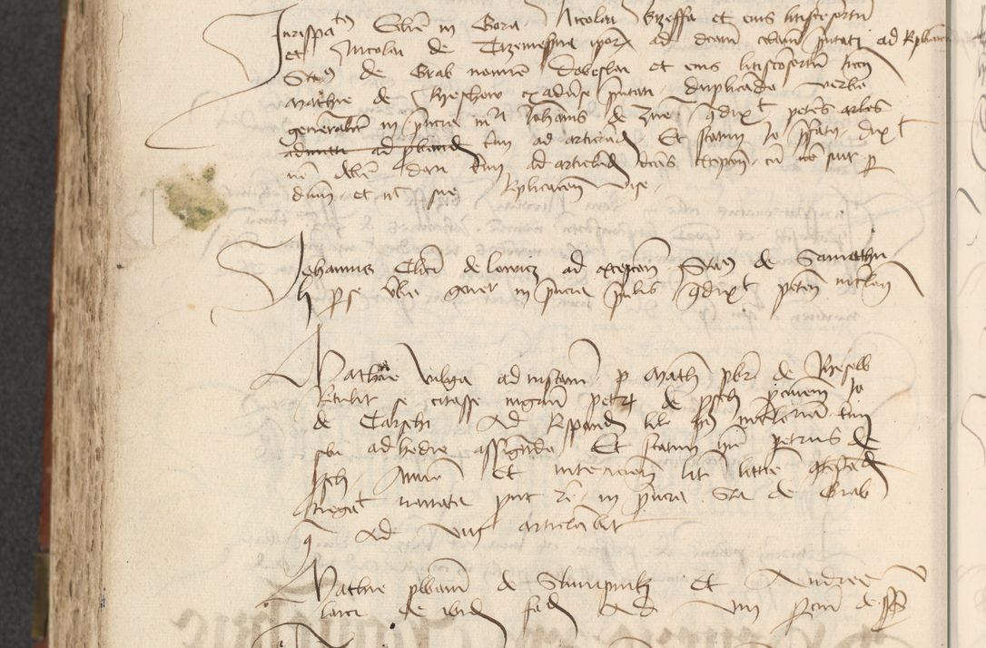 Zdjęcie nr 446 dla obiektu archiwalnego: [Acta actorum officialia coram Raphaele de Scawina]