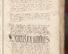 Zdjęcie nr 431 dla obiektu archiwalnego: [Acta actorum officialia coram Raphaele de Scawina]