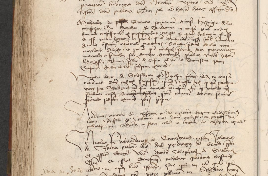 Zdjęcie nr 426 dla obiektu archiwalnego: [Acta actorum officialia coram Raphaele de Scawina]