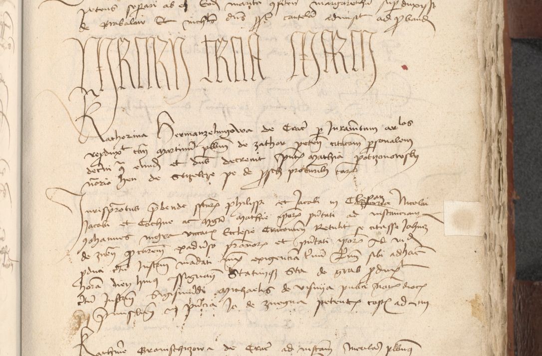 Zdjęcie nr 793 dla obiektu archiwalnego: [Acta actorum officialia coram Raphaele de Scawina]