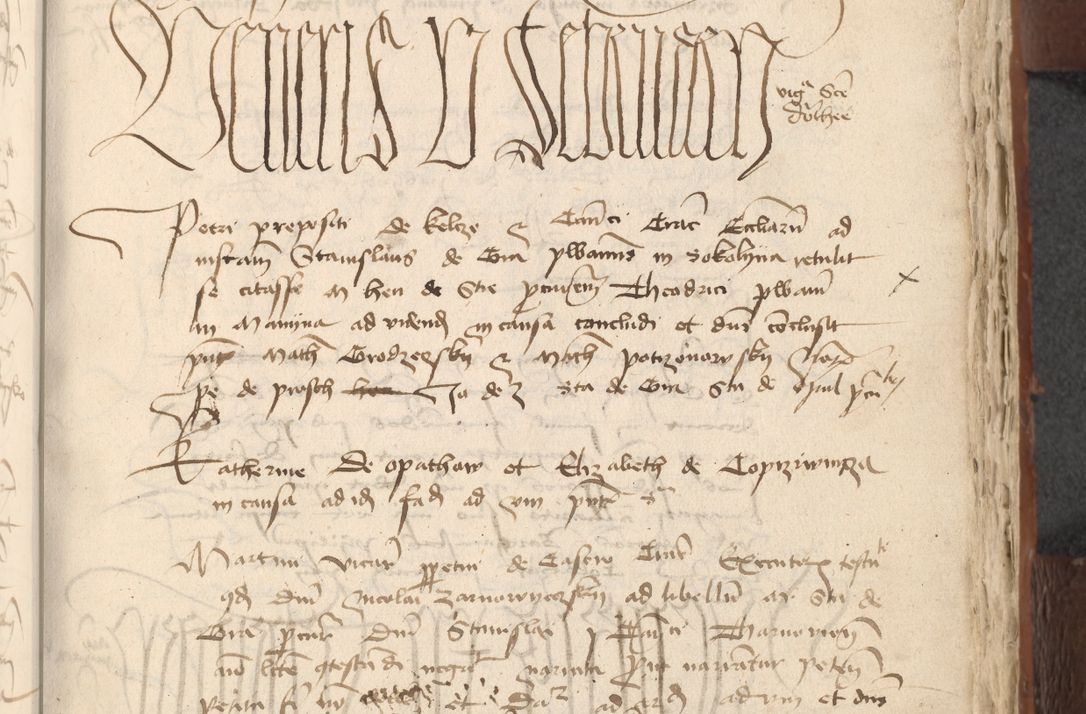 Zdjęcie nr 785 dla obiektu archiwalnego: [Acta actorum officialia coram Raphaele de Scawina]