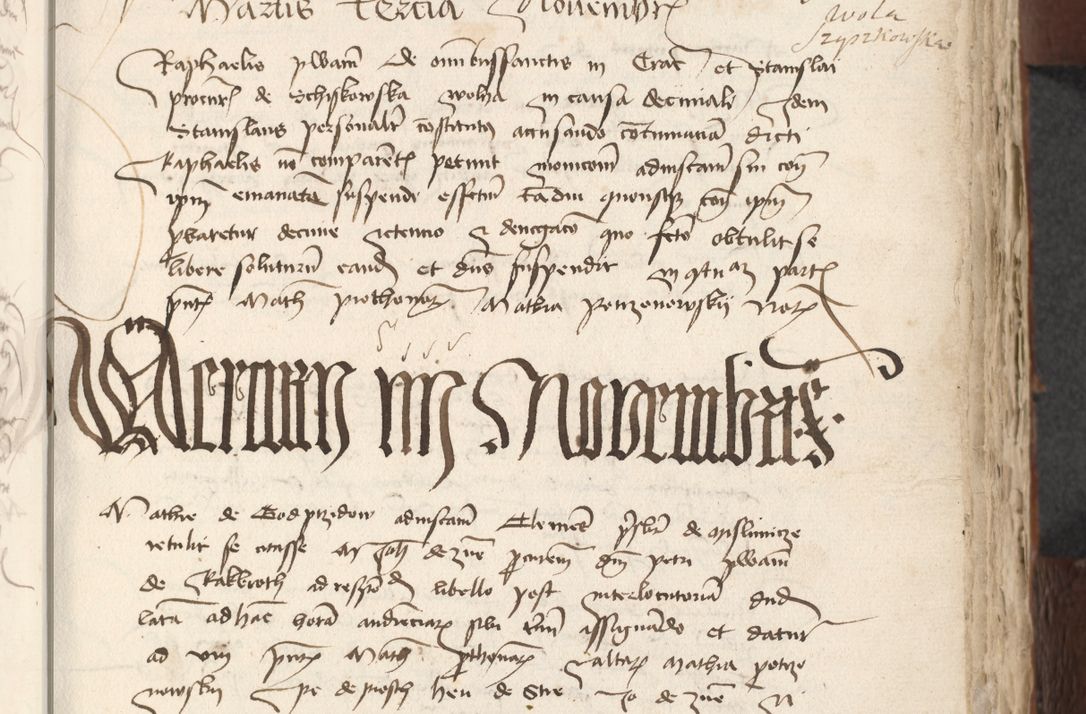 Zdjęcie nr 733 dla obiektu archiwalnego: [Acta actorum officialia coram Raphaele de Scawina]