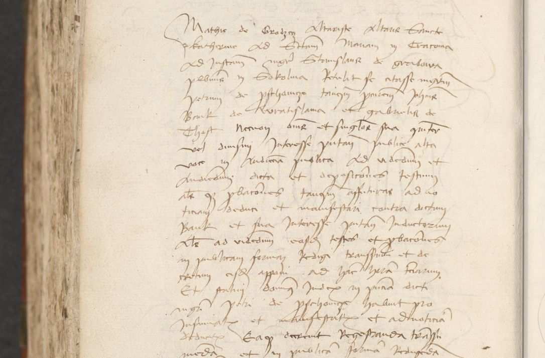 Zdjęcie nr 1000 dla obiektu archiwalnego: [Acta actorum officialia coram Raphaele de Scawina]