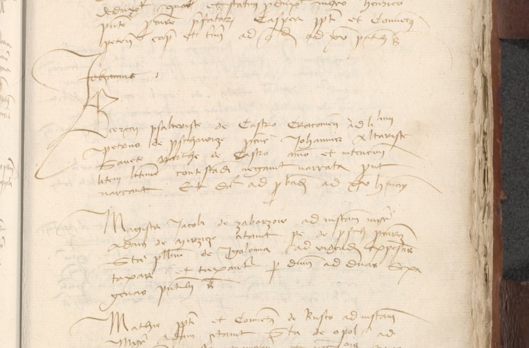 Zdjęcie nr 895 dla obiektu archiwalnego: [Acta actorum officialia coram Raphaele de Scawina]