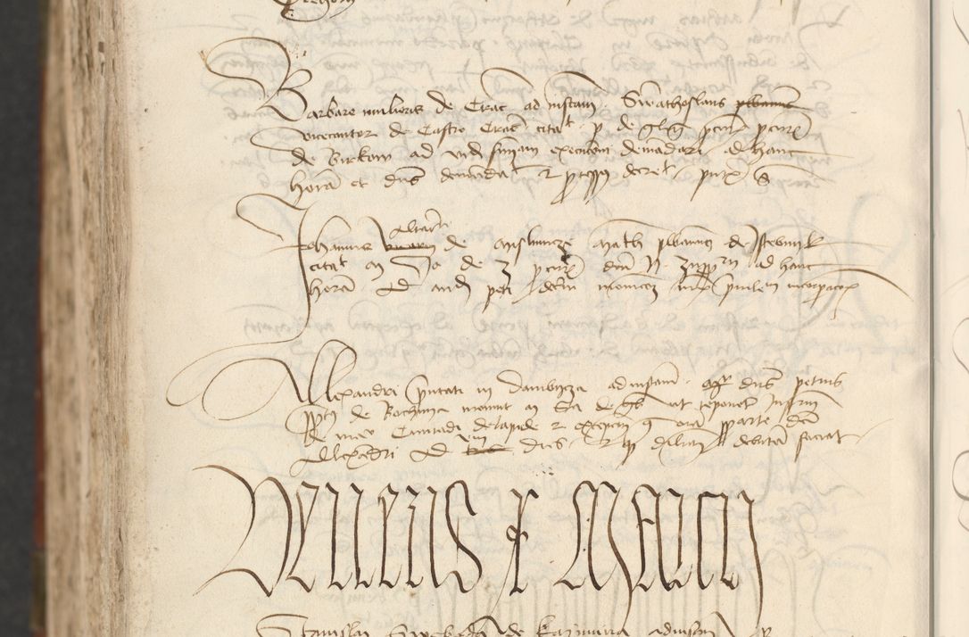 Zdjęcie nr 1102 dla obiektu archiwalnego: [Acta actorum officialia coram Raphaele de Scawina]