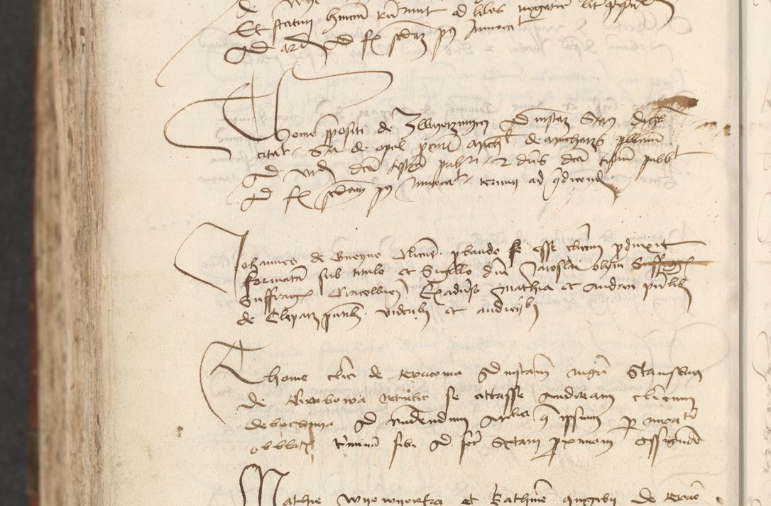 Zdjęcie nr 1090 dla obiektu archiwalnego: [Acta actorum officialia coram Raphaele de Scawina]