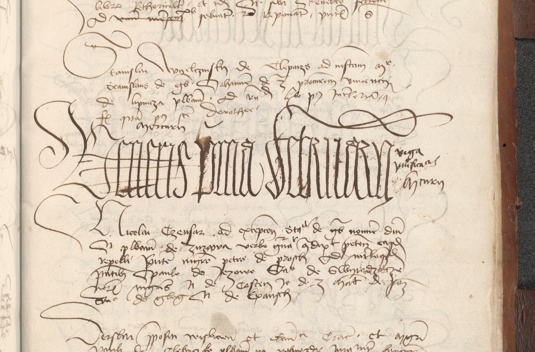 Zdjęcie nr 1081 dla obiektu archiwalnego: [Acta actorum officialia coram Raphaele de Scawina]