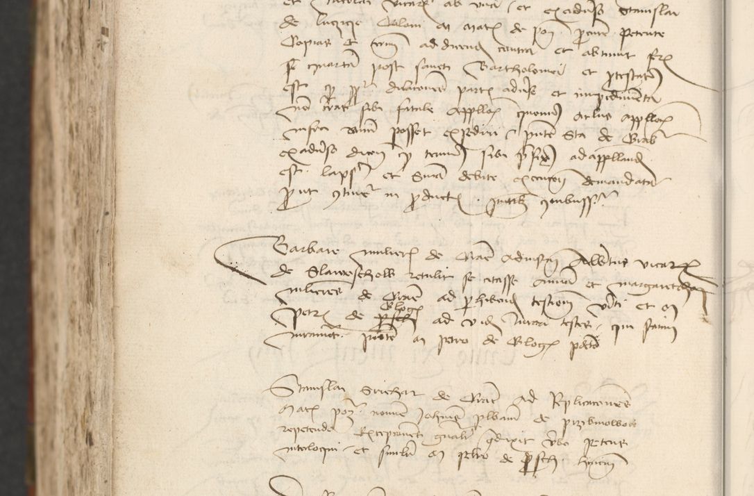 Zdjęcie nr 1010 dla obiektu archiwalnego: [Acta actorum officialia coram Raphaele de Scawina]