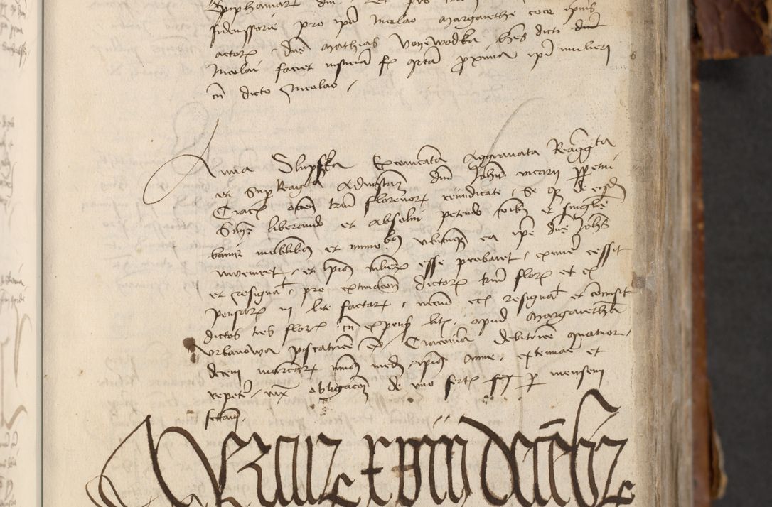 Zdjęcie nr 199 dla obiektu archiwalnego: [Acta actorum officialia coram Raphaele de Skawina]