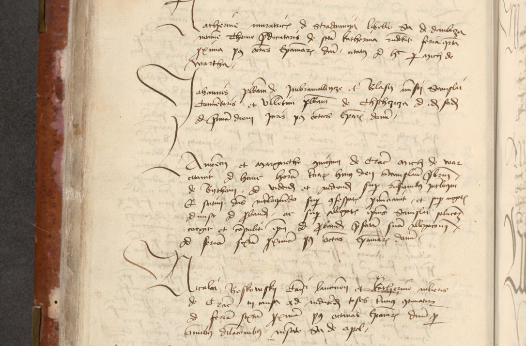 Zdjęcie nr 196 dla obiektu archiwalnego: [Acta actorum officialia coram Raphaele de Skawina]