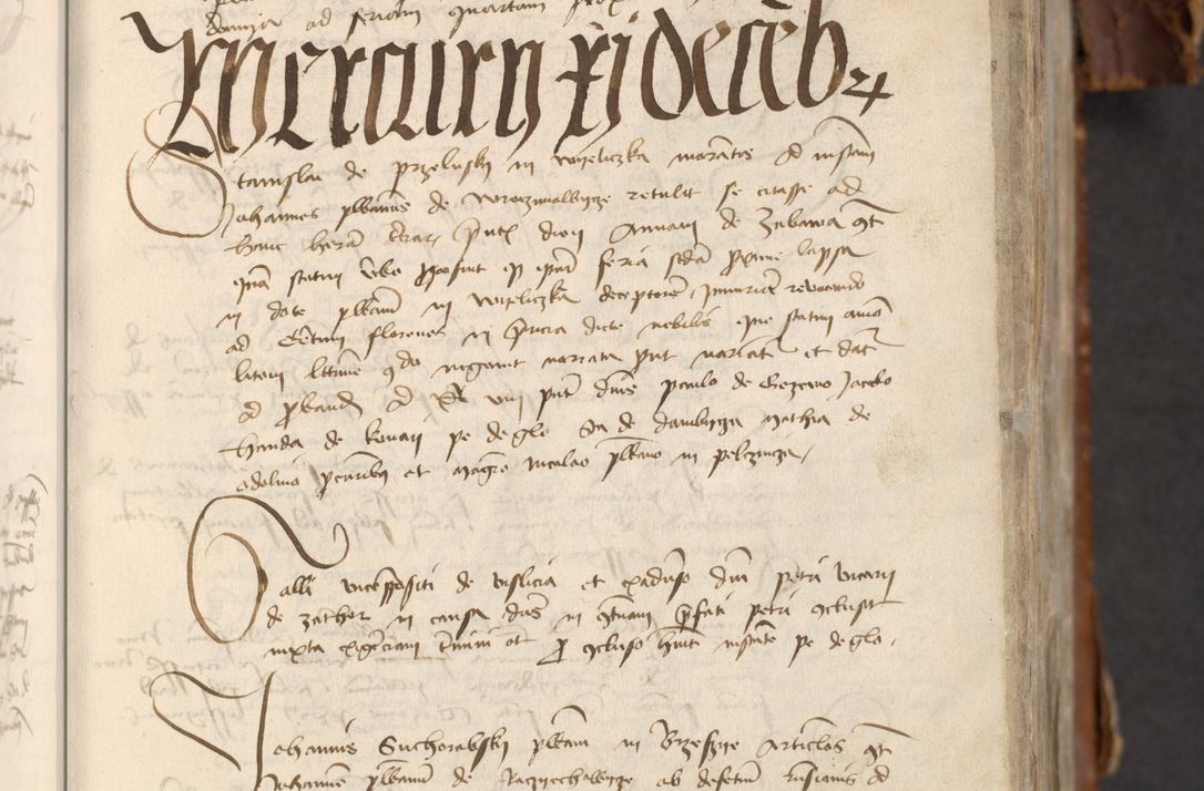 Zdjęcie nr 193 dla obiektu archiwalnego: [Acta actorum officialia coram Raphaele de Skawina]