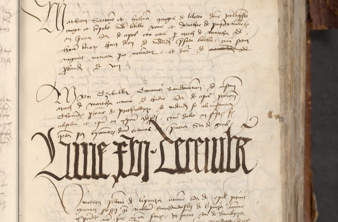 Zdjęcie nr 197 dla obiektu archiwalnego: [Acta actorum officialia coram Raphaele de Skawina]