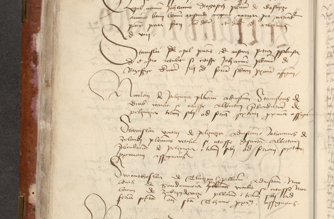 Zdjęcie nr 194 dla obiektu archiwalnego: [Acta actorum officialia coram Raphaele de Skawina]