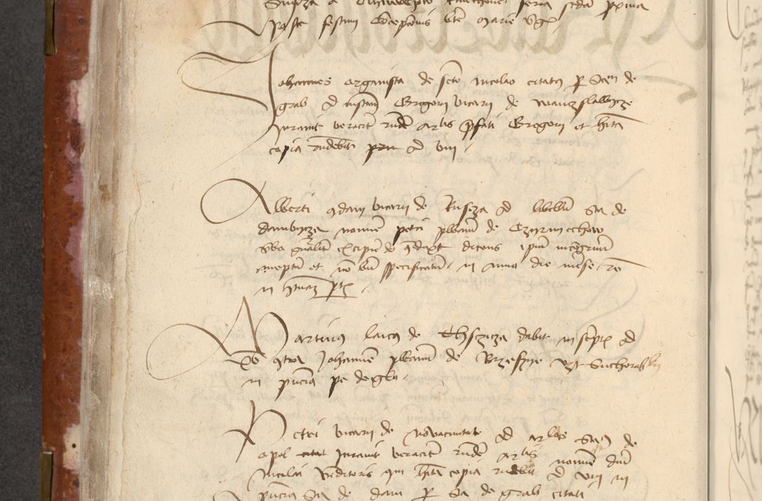 Zdjęcie nr 184 dla obiektu archiwalnego: [Acta actorum officialia coram Raphaele de Skawina]