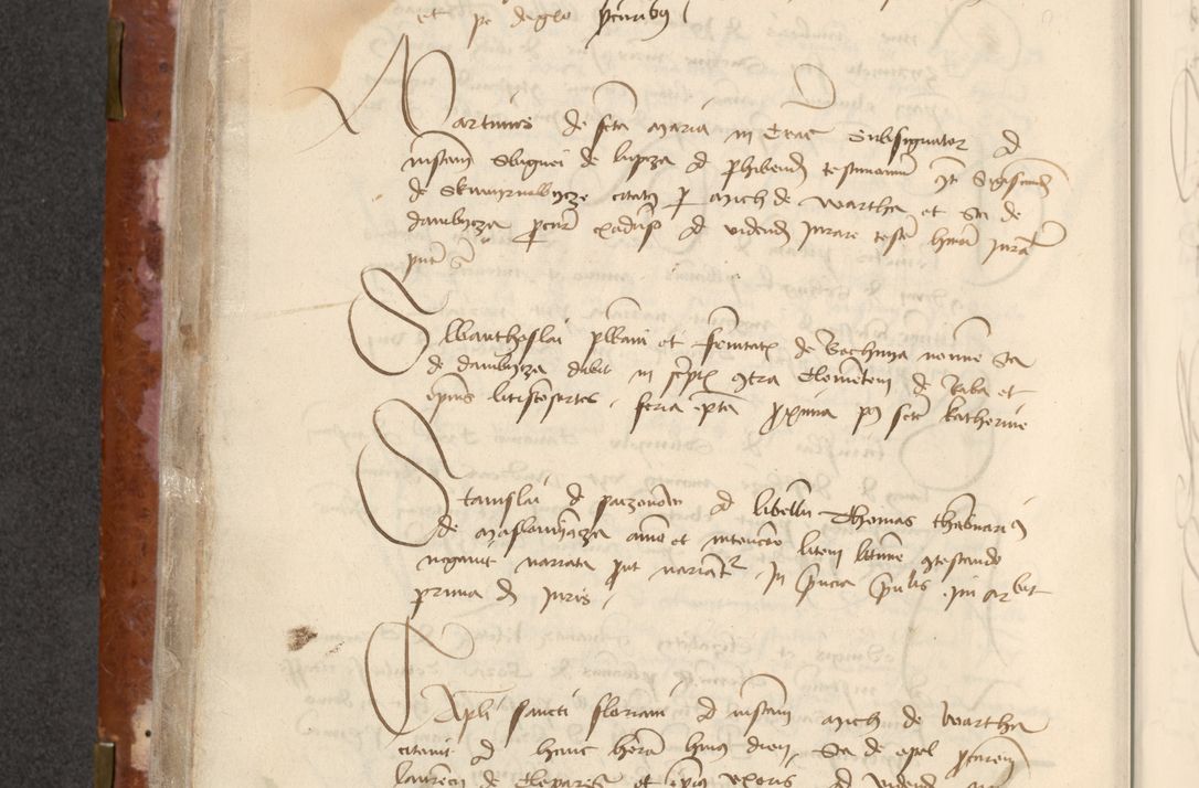 Zdjęcie nr 178 dla obiektu archiwalnego: [Acta actorum officialia coram Raphaele de Skawina]