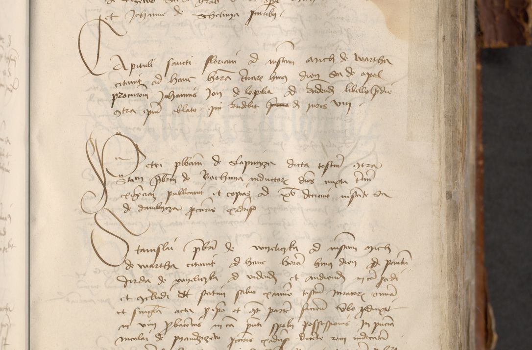 Zdjęcie nr 179 dla obiektu archiwalnego: [Acta actorum officialia coram Raphaele de Skawina]