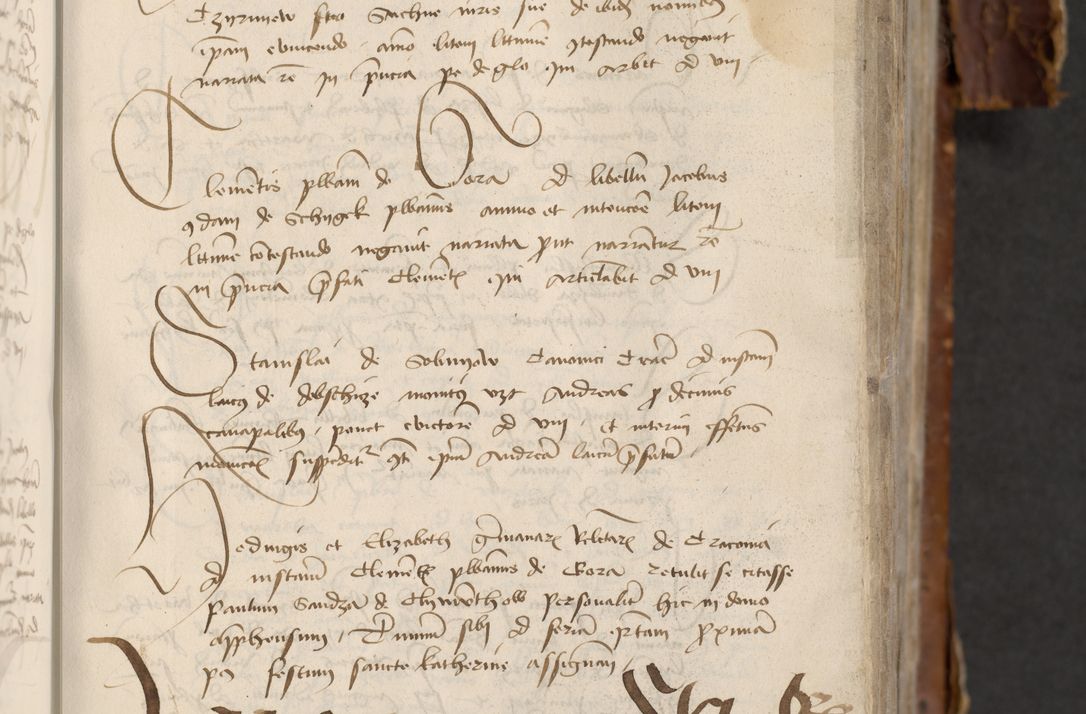 Zdjęcie nr 177 dla obiektu archiwalnego: [Acta actorum officialia coram Raphaele de Skawina]