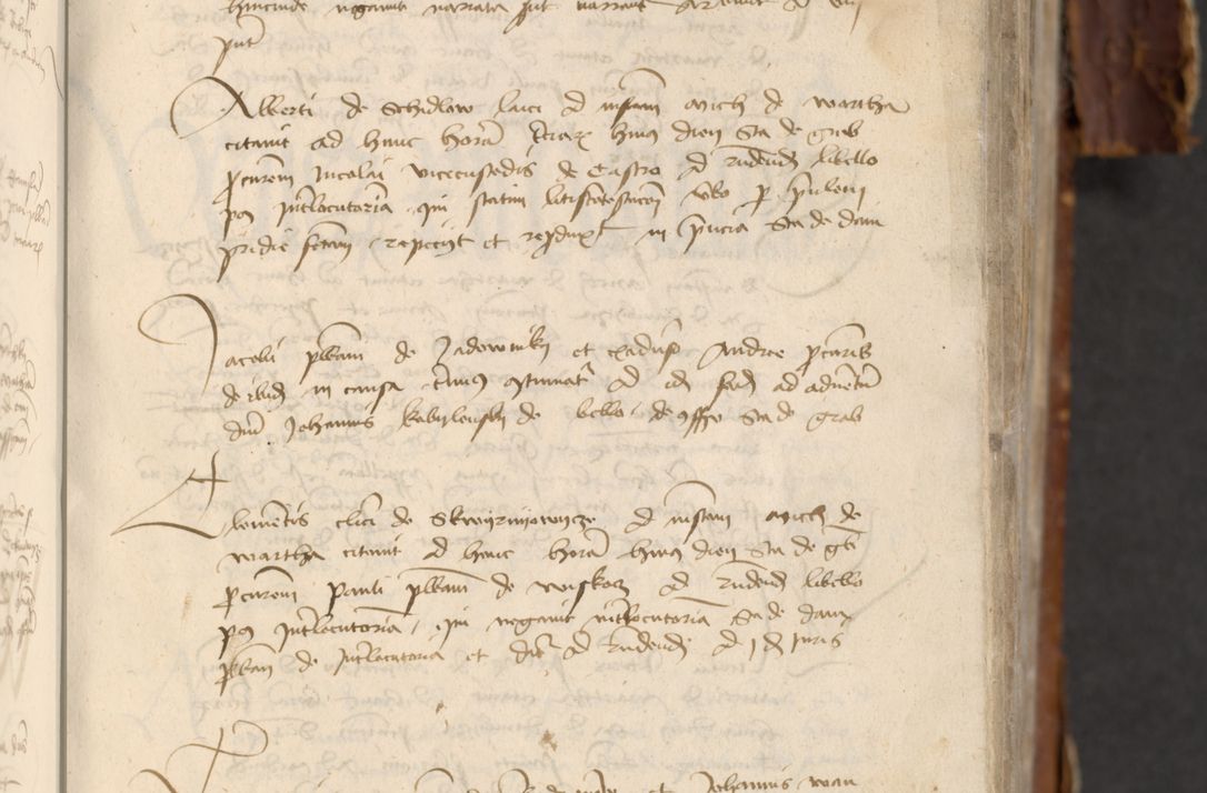 Zdjęcie nr 173 dla obiektu archiwalnego: [Acta actorum officialia coram Raphaele de Skawina]