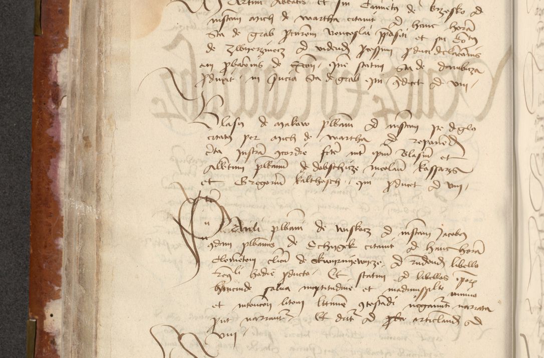 Zdjęcie nr 176 dla obiektu archiwalnego: [Acta actorum officialia coram Raphaele de Skawina]