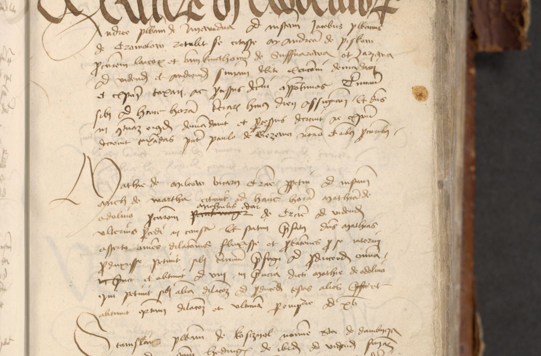 Zdjęcie nr 169 dla obiektu archiwalnego: [Acta actorum officialia coram Raphaele de Skawina]