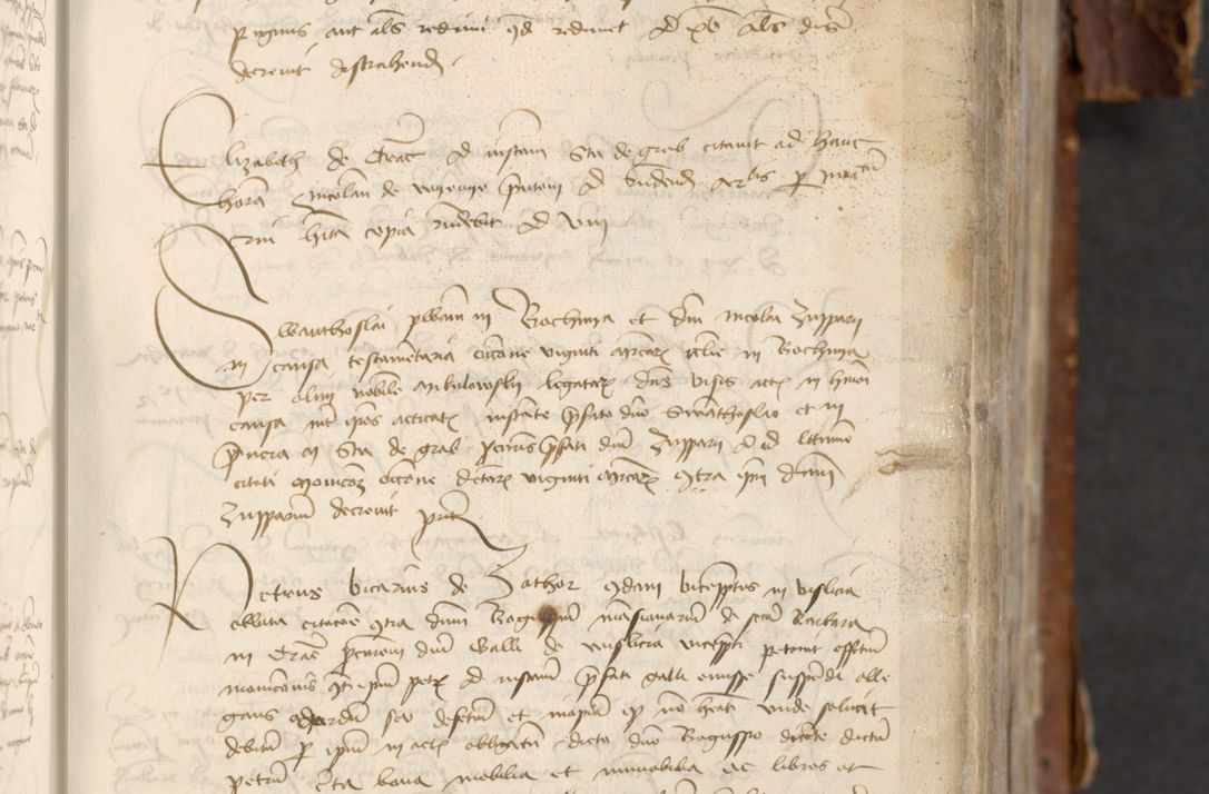 Zdjęcie nr 163 dla obiektu archiwalnego: [Acta actorum officialia coram Raphaele de Skawina]