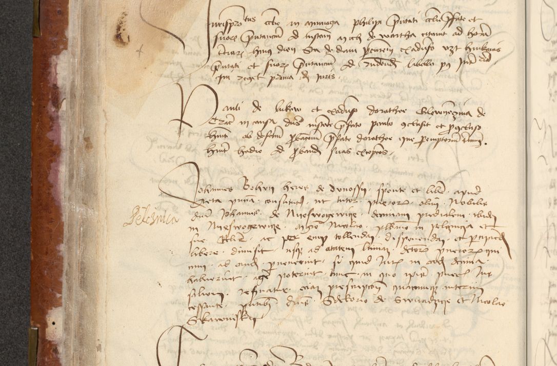 Zdjęcie nr 150 dla obiektu archiwalnego: [Acta actorum officialia coram Raphaele de Skawina]