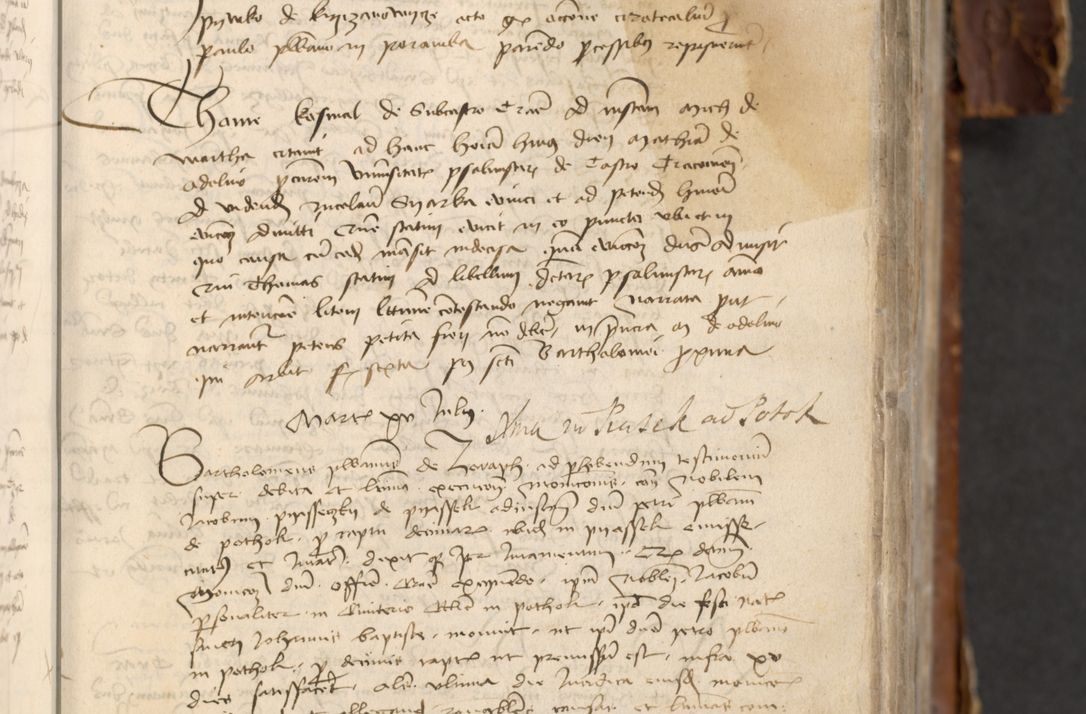 Zdjęcie nr 139 dla obiektu archiwalnego: [Acta actorum officialia coram Raphaele de Skawina]