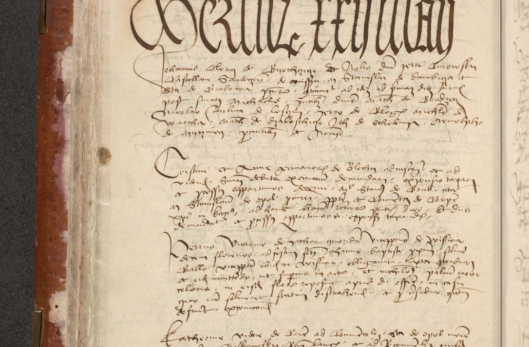 Zdjęcie nr 100 dla obiektu archiwalnego: [Acta actorum officialia coram Raphaele de Skawina]