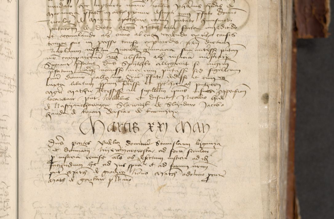 Zdjęcie nr 99 dla obiektu archiwalnego: [Acta actorum officialia coram Raphaele de Skawina]