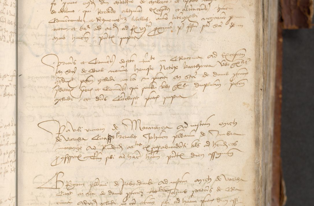 Zdjęcie nr 75 dla obiektu archiwalnego: [Acta actorum officialia coram Raphaele de Skawina]