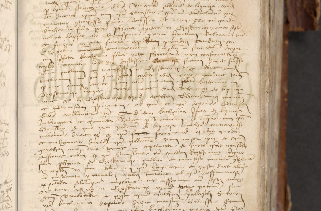 Zdjęcie nr 67 dla obiektu archiwalnego: [Acta actorum officialia coram Raphaele de Skawina]